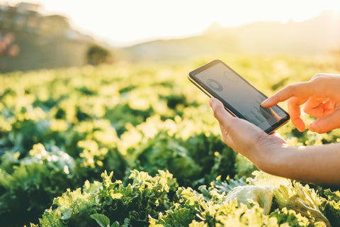 4 Ways Farmers Can Use Modern Technology To Cut Costs