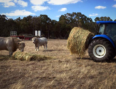 Distribute a single bale over multiple areas